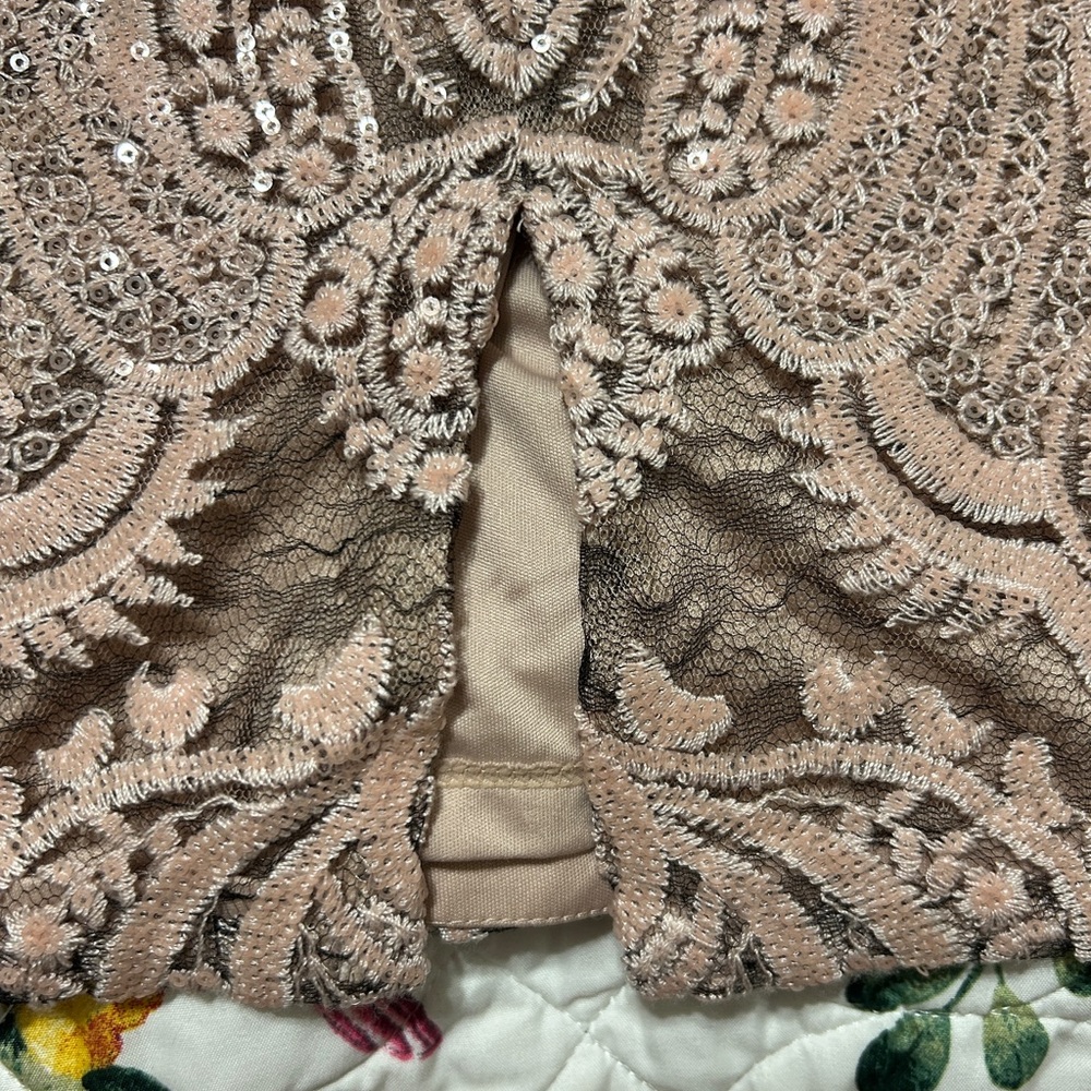 NWT Calvin Klein Taupe Lace and Sequin Midi Dress - Picture 4 of 6